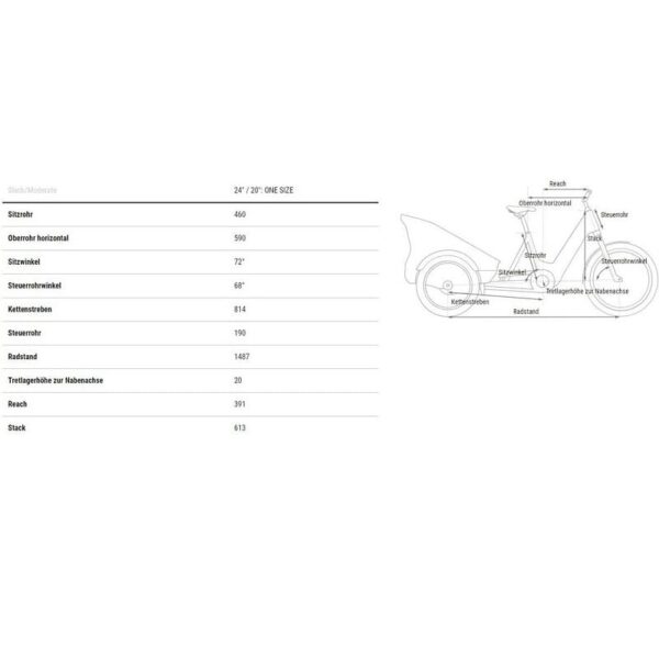Cube Trike Hybrid Family 1500 - 1500 Wh - 2025 - 24 Zoll – Bild 2